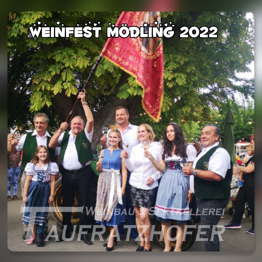 Weinfest Mödling 2022